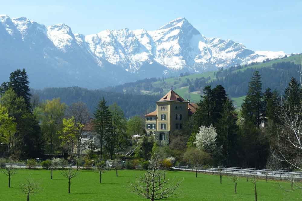 全球排名的餐厅是如何选出来的,2019全球最佳50餐厅榜单揭晓