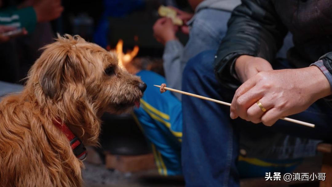 云南烧烤蘸水配方,作者大鱼大肉的免费作品