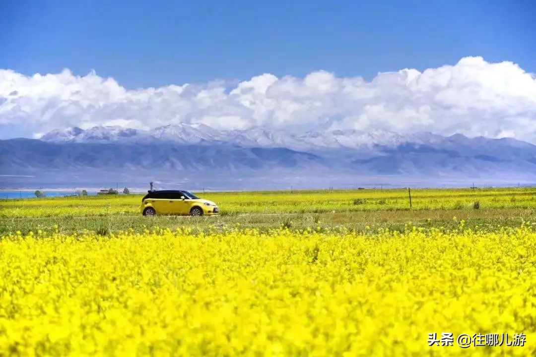 西北大环线各景点攻略,西北大环线必游之地
