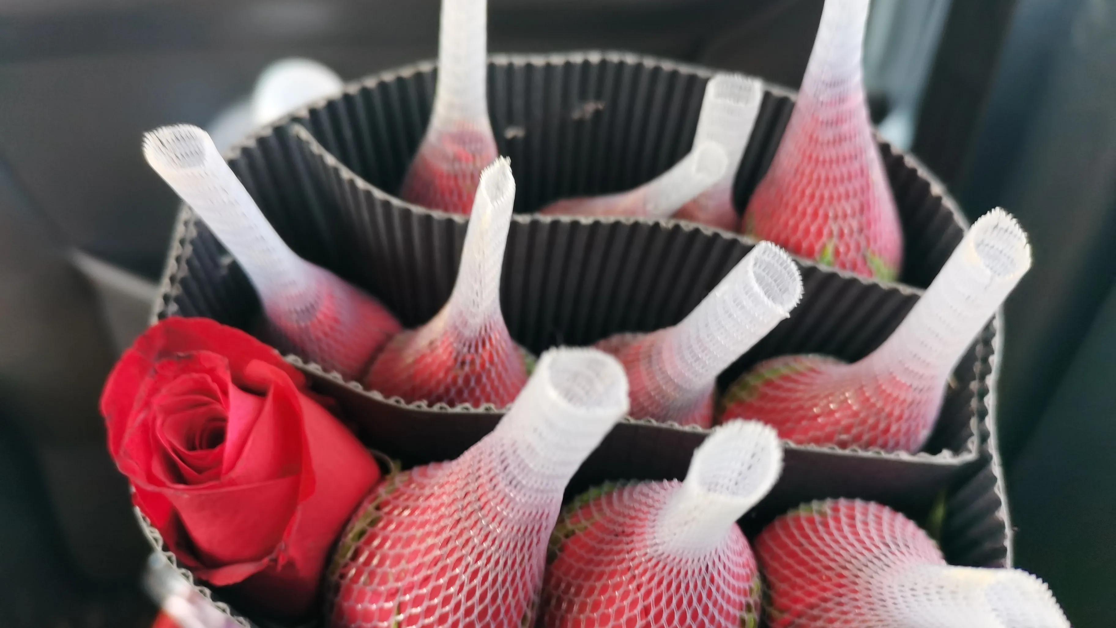 七彩云南之春城昆明,七彩云南四季春城