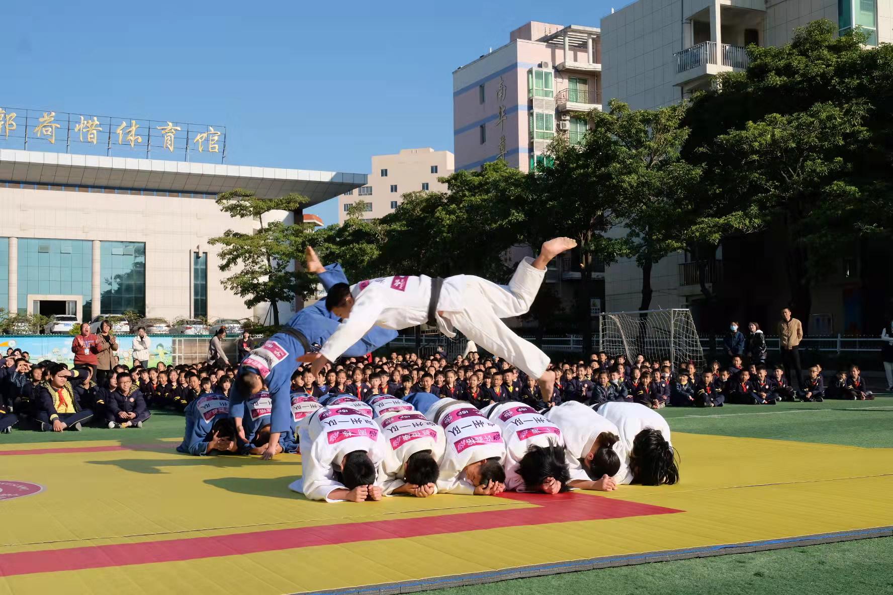 柔道项目进校园,柔道教育