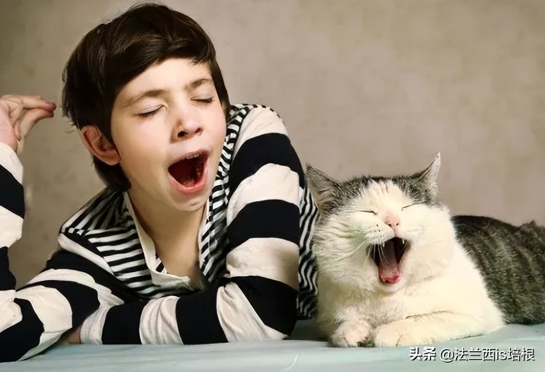 打呵欠为什么鼓膜会膨胀？科学家首次找到证据，解锁人类祖先是鱼