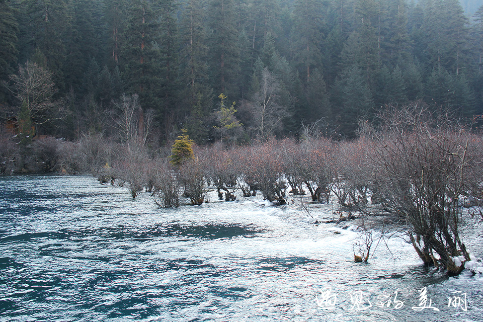 如果一生只去一个古城,一生去一次九寨沟