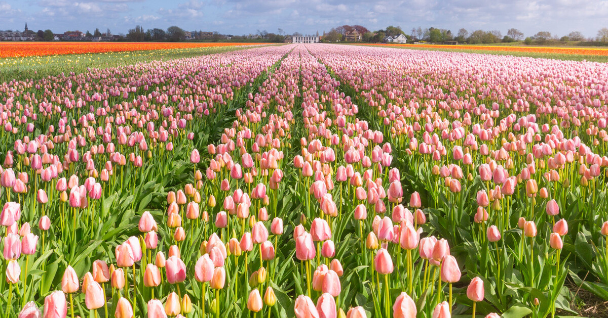 小学三年级作文描写人物怎么写,小学作文三年级怎么教