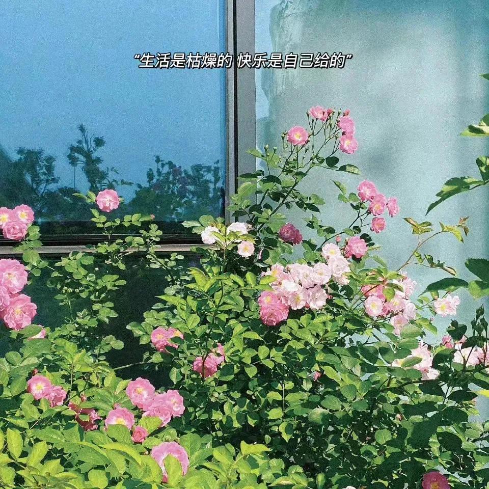 朋友圈相册封面图片,微信朋友圈封面视频