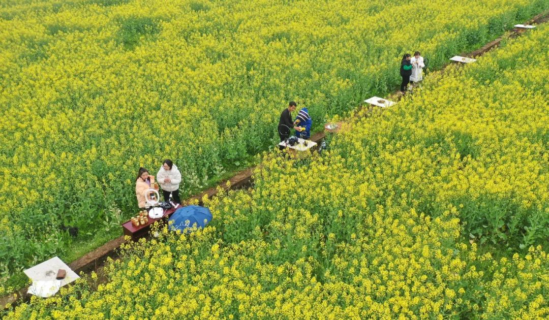 马云回国没有,马云回国讲话