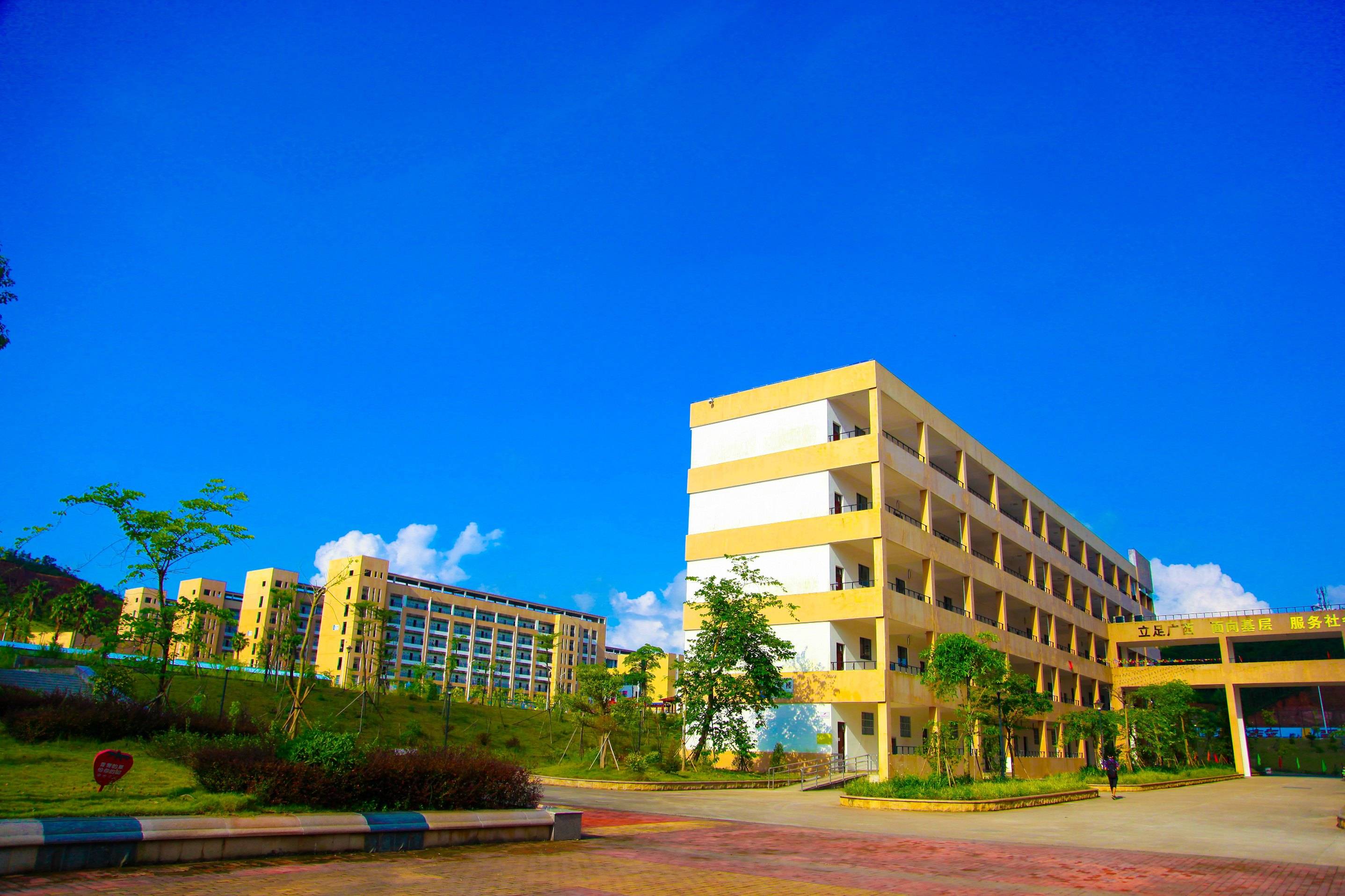 广西最好的专科院校排名一览表,广西最好十大专科学校排名榜