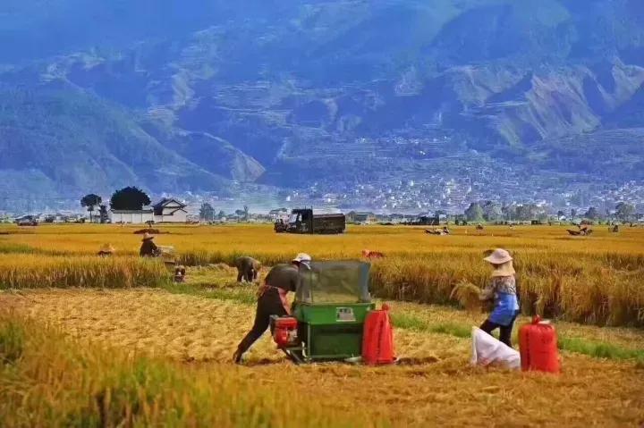 给你100万怎样实现财富自由,100万本金赚一个亿