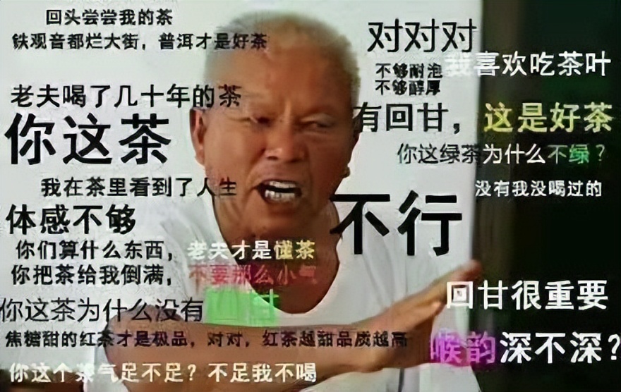 普洱茶友喝茶历程表,普洱茶界顶级茶痴