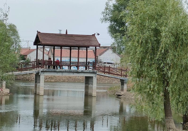 肥乡农村废弃坑塘改造公园案例,废弃坑塘变良田视频