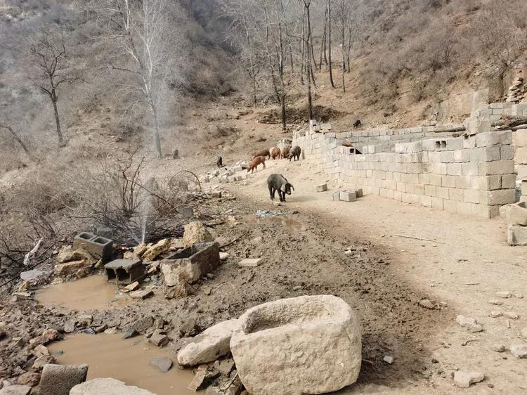 绝壁大梯白云寺,徒步白云寺