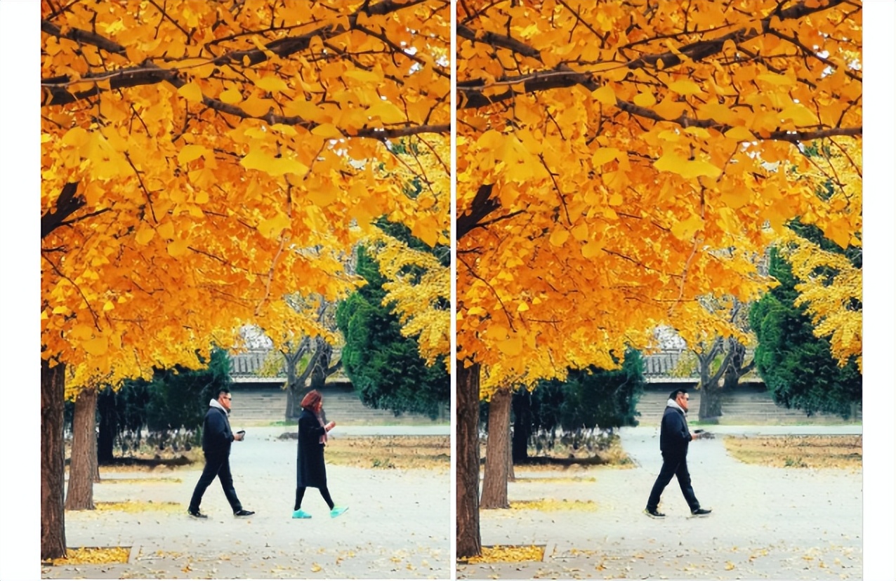 推荐5款windows神级软件,windows必备的神仙级软件