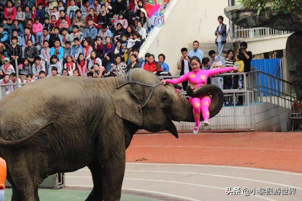 上海旅游景区有哪些地方最好玩,上海十大旅游景点推荐最新
