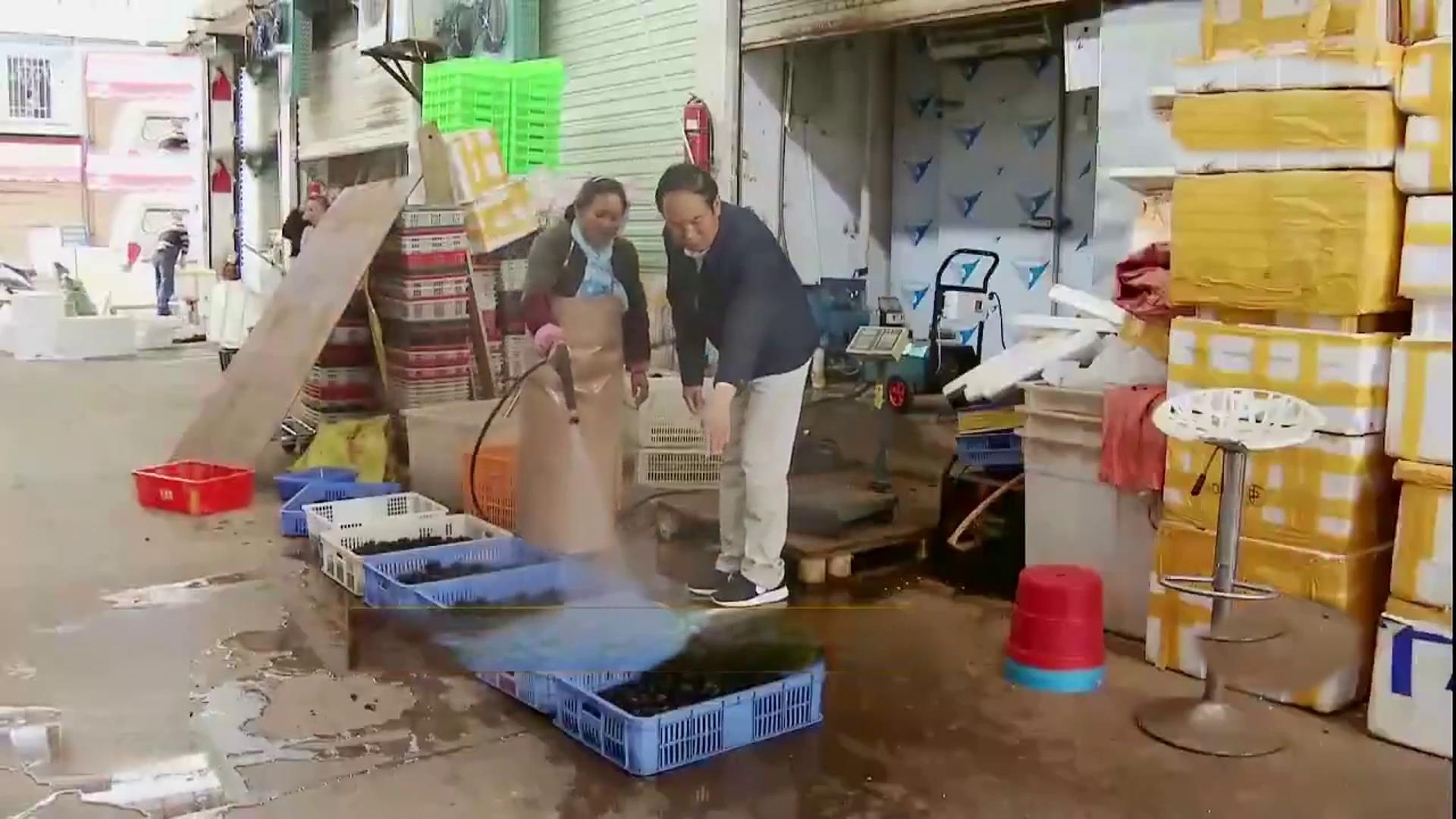 在河南挖土疙瘩,大山挖出一物多少钱