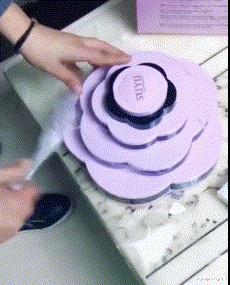 学生适合在宿舍里养的小宠物,在宿舍偷偷养的小宠物