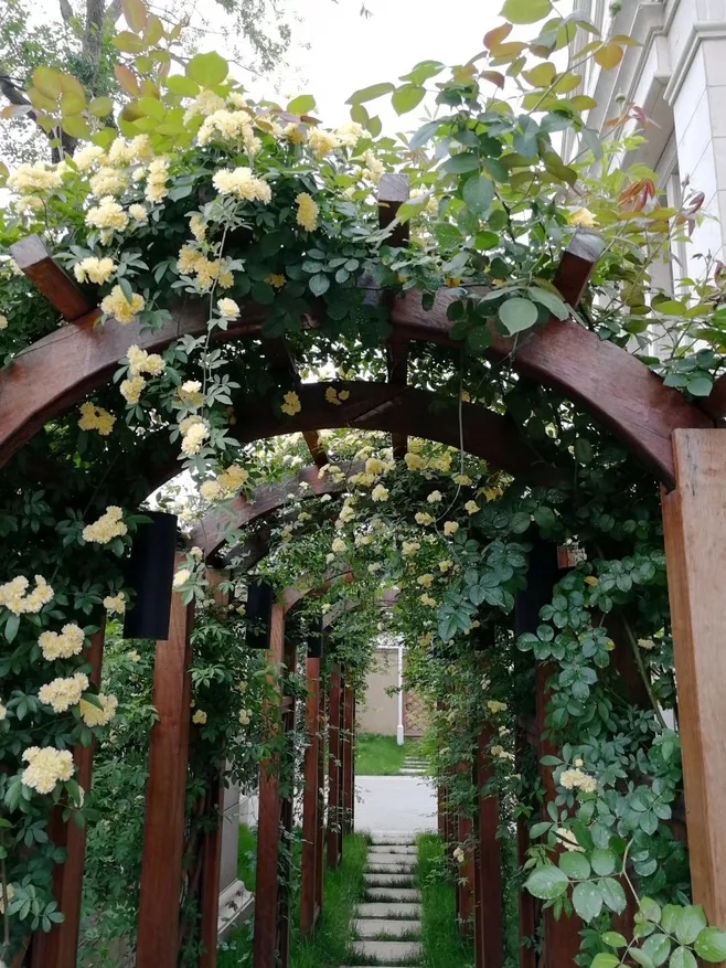 庭院轻奢花架子,一个简单的小花园