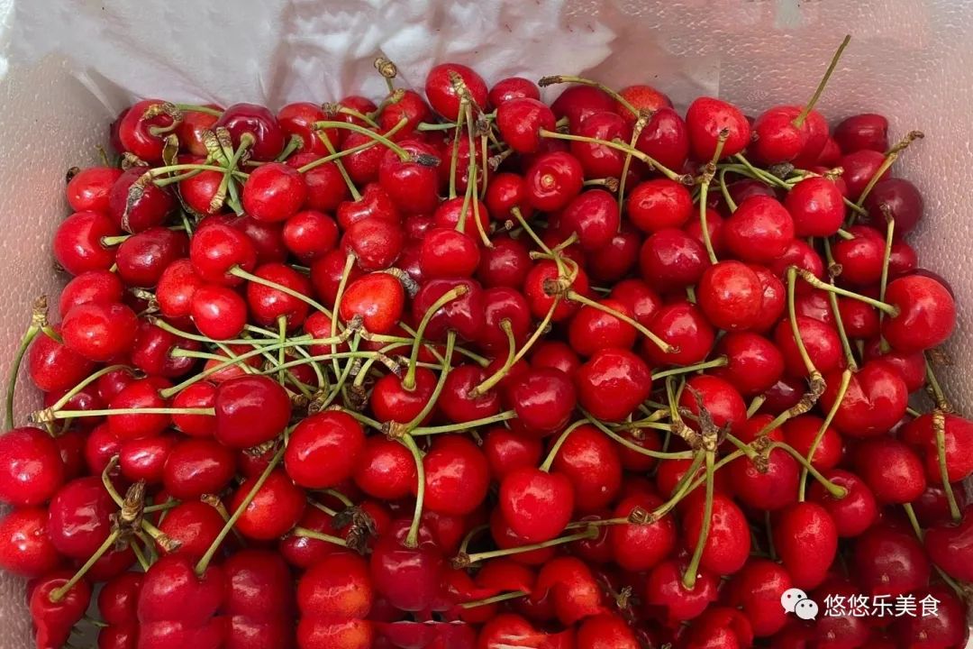 入夏后，这几种碱性水果不妨多吃,夏季遇到这碱性水果别错过