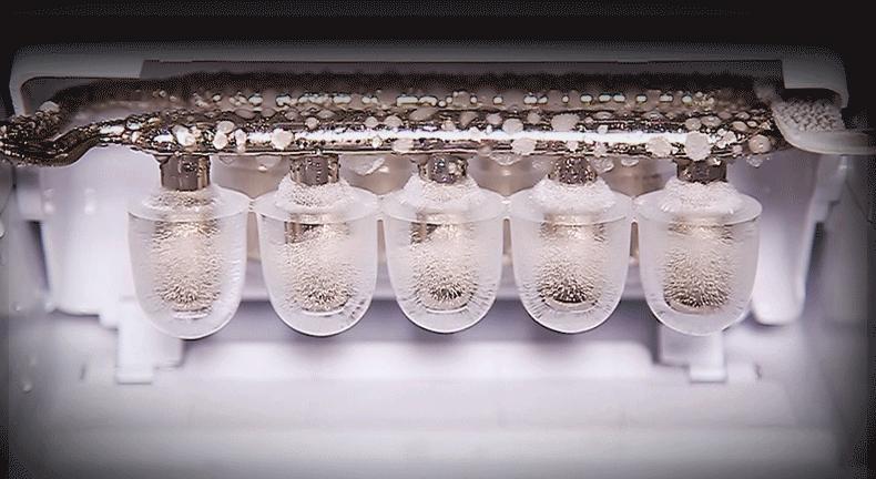 雪莲可以代替冰块做刨冰么,雪莲制冰教程