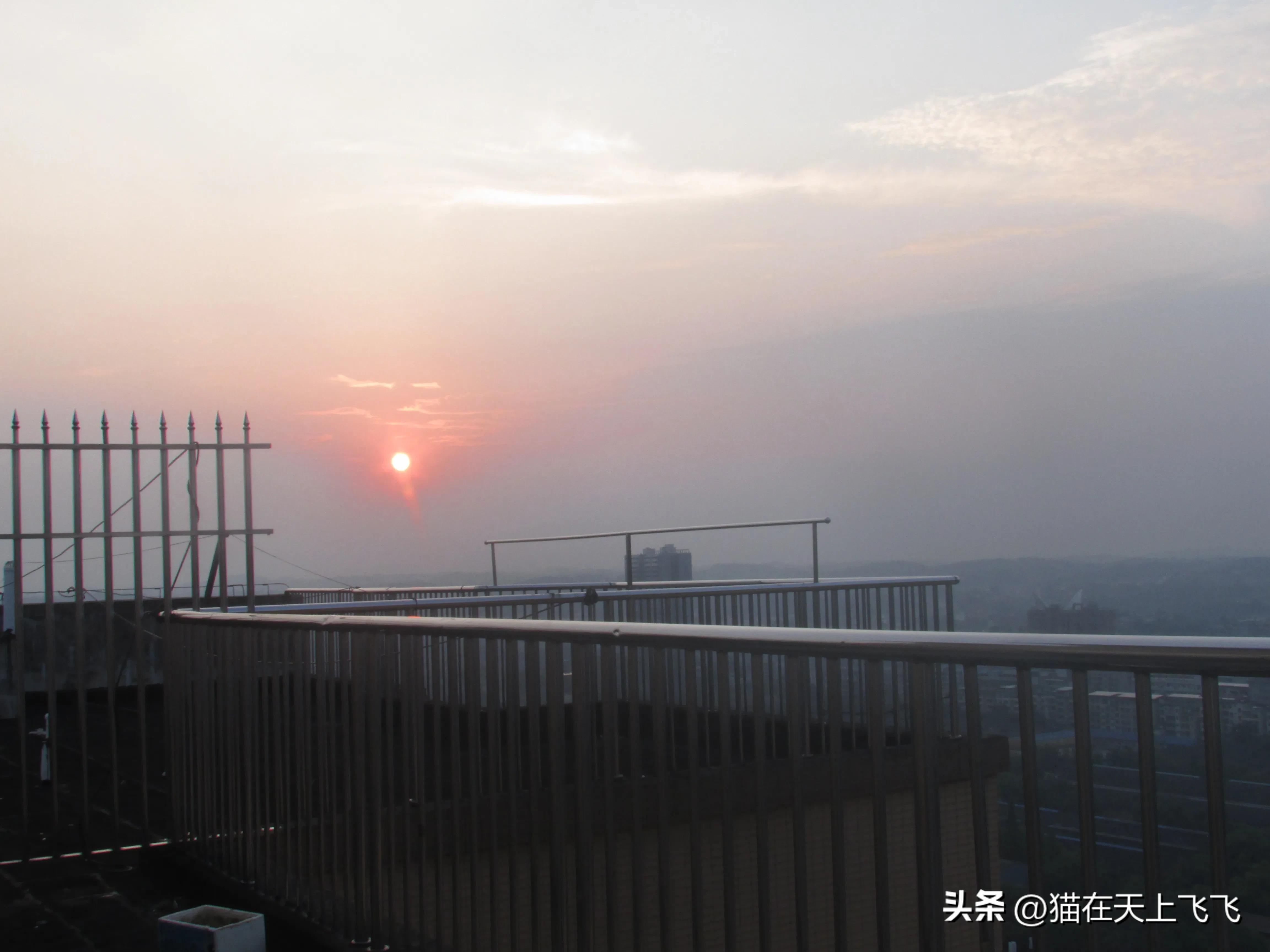 婆婆住主卧准儿媳退婚后续,婆婆硬要住婚房主卧儿媳霸气退婚