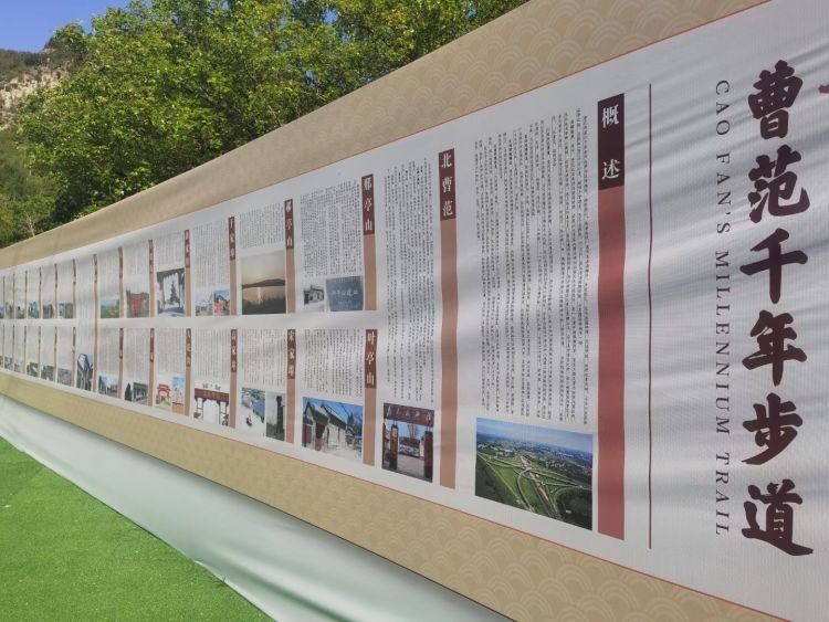 济南3-4月份赏花适合去哪里旅游,五一济南哪里好玩