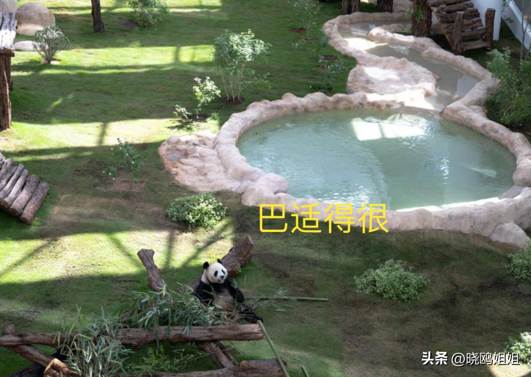 卡塔尔为什么有资格举办世界杯,卡塔尔为何一定要举办世界杯