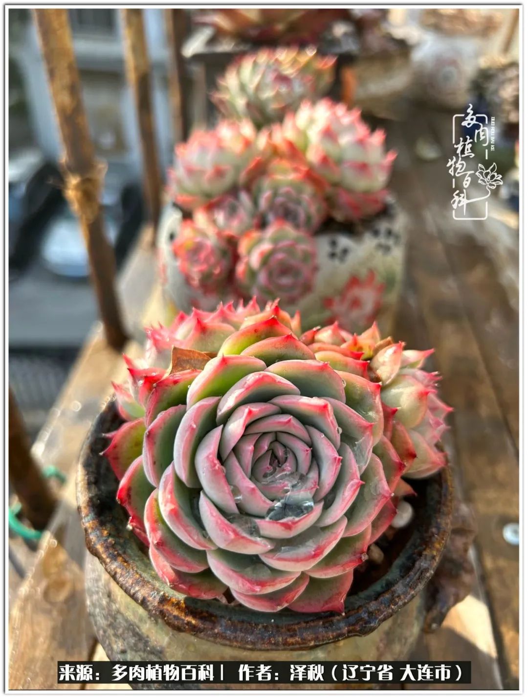 四季轮回之秋天,四季轮回之冬季