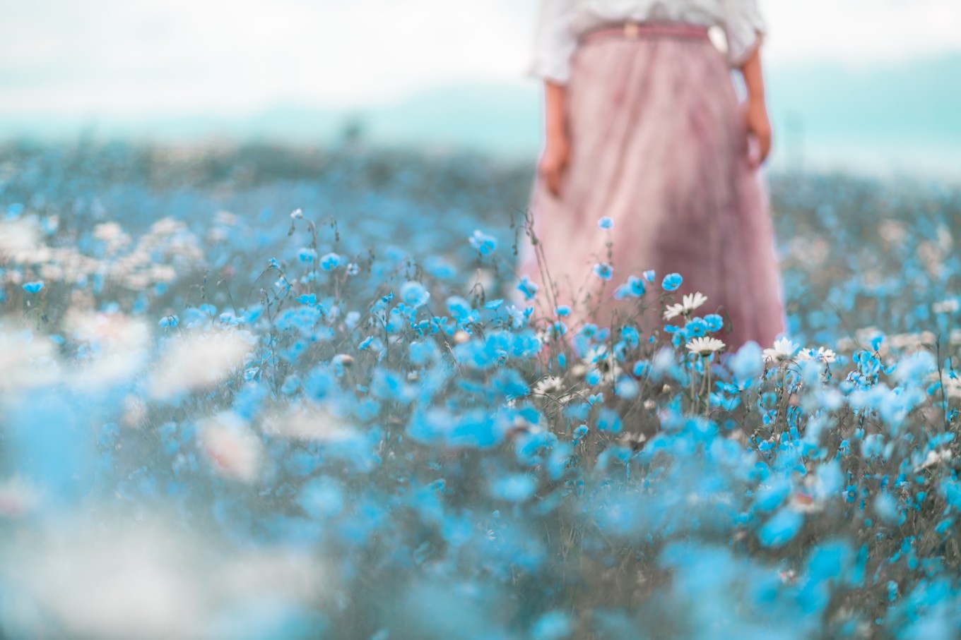 去新疆发现伊犁的美,世界之美尽在伊犁