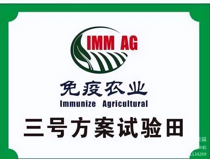 平安淮滨新变化丨淮滨县栏杆街道:喜迎二十大,夸夸我的家乡王湾新变化