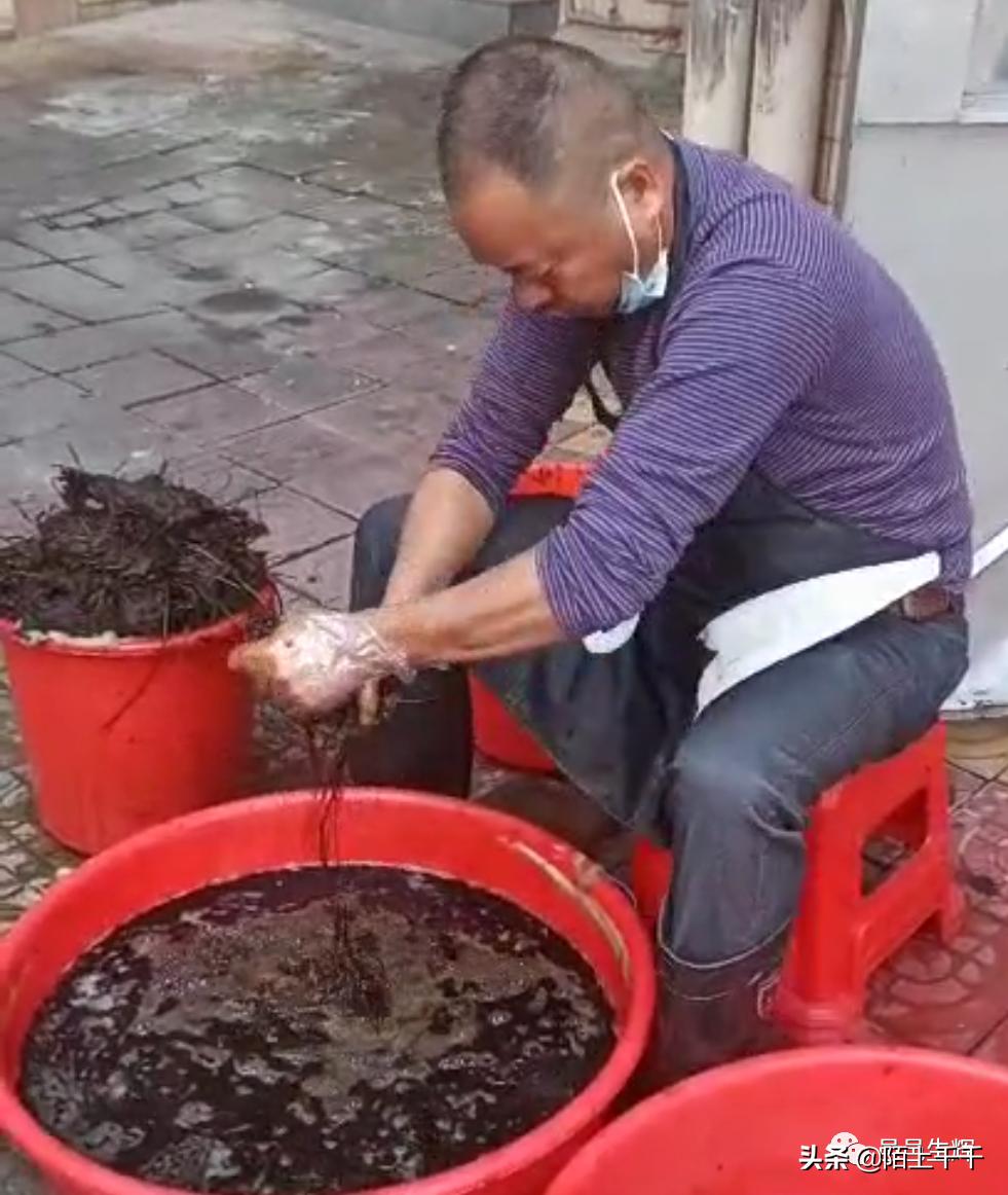 广东开平马冈凉粉,正宗的古镇特色凉粉