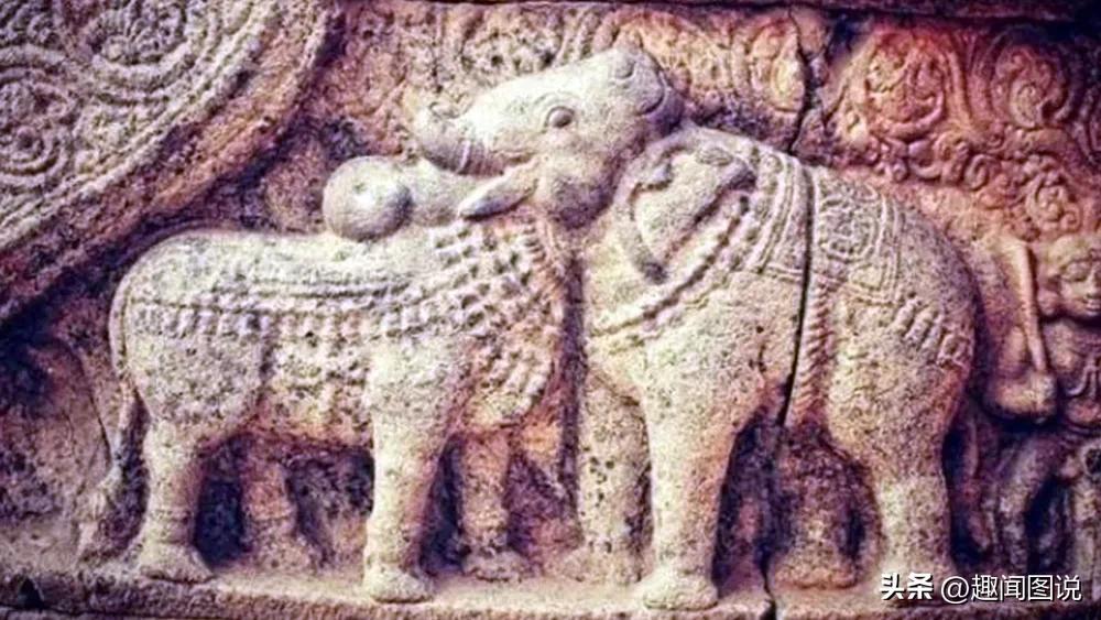 风靡美国的柠檬杯胸罩，印度*队军**的大象战机，36张图看世界