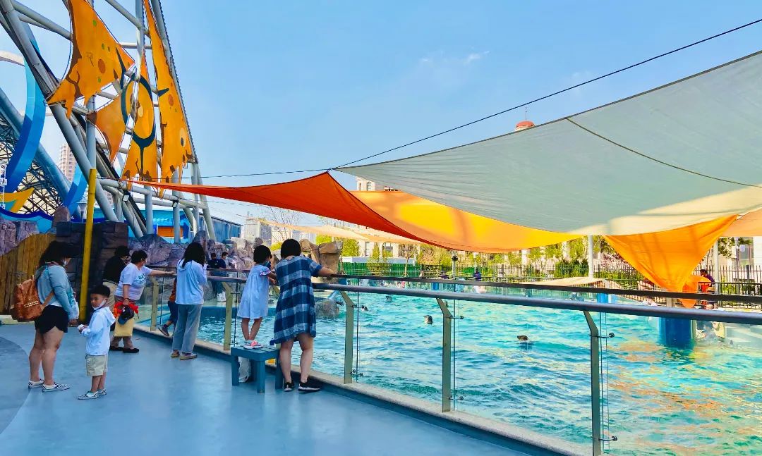 天津遛娃圣地,天津周末免费遛娃好去处