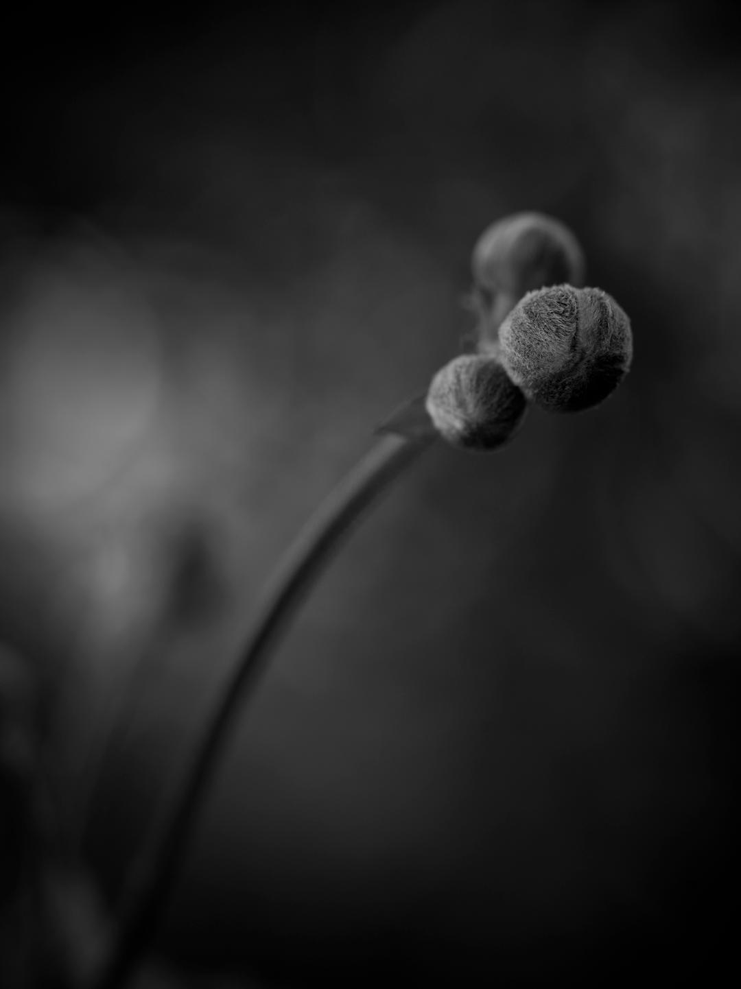 2022索尼摄影大赛征稿,2022索尼世界摄影大赛