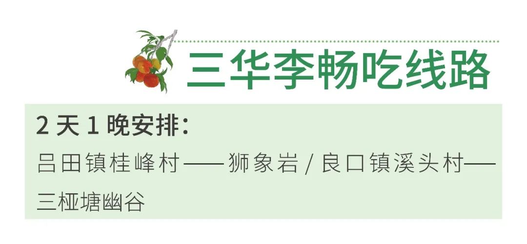 从化摘果攻略,从化摘水果攻略