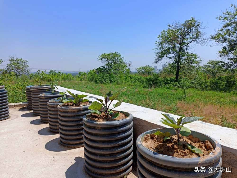 疫情宅家没收入焦虑,邻居建议房顶安太阳能发电挣钱,靠谱吗?