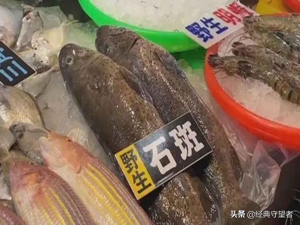 台湾石斑鱼进口对大陆什么影响,台湾石斑鱼禁售原因