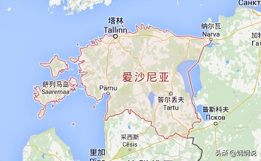 神奇的国家叫什么国,爱沙尼亚波罗的海之虎
