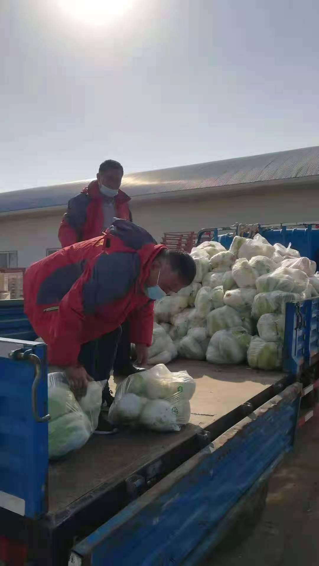 闈掑矝涓拌鍐滃寲,闈掑矝涓拌鍐滆祫