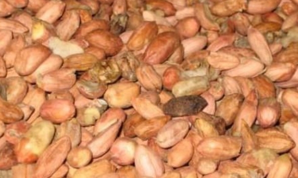 隐藏在家中的致癌物,警惕3种超强致癌物藏匿生活中