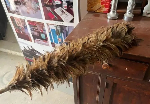 家里很多毛絮灰尘如何解决,家里毛絮灰尘怎么消除