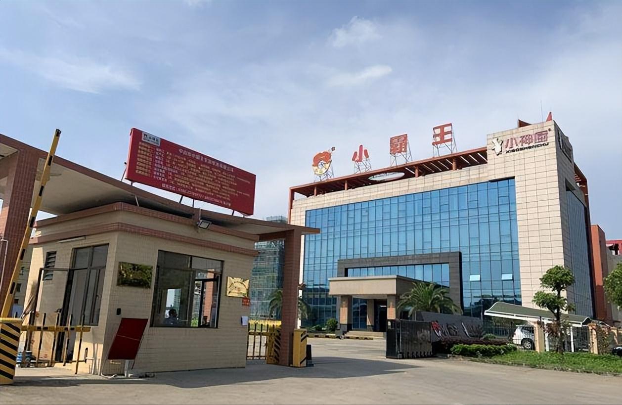 金立手机老板最后一把输了多少,金立老板最多一把牌输了多少钱