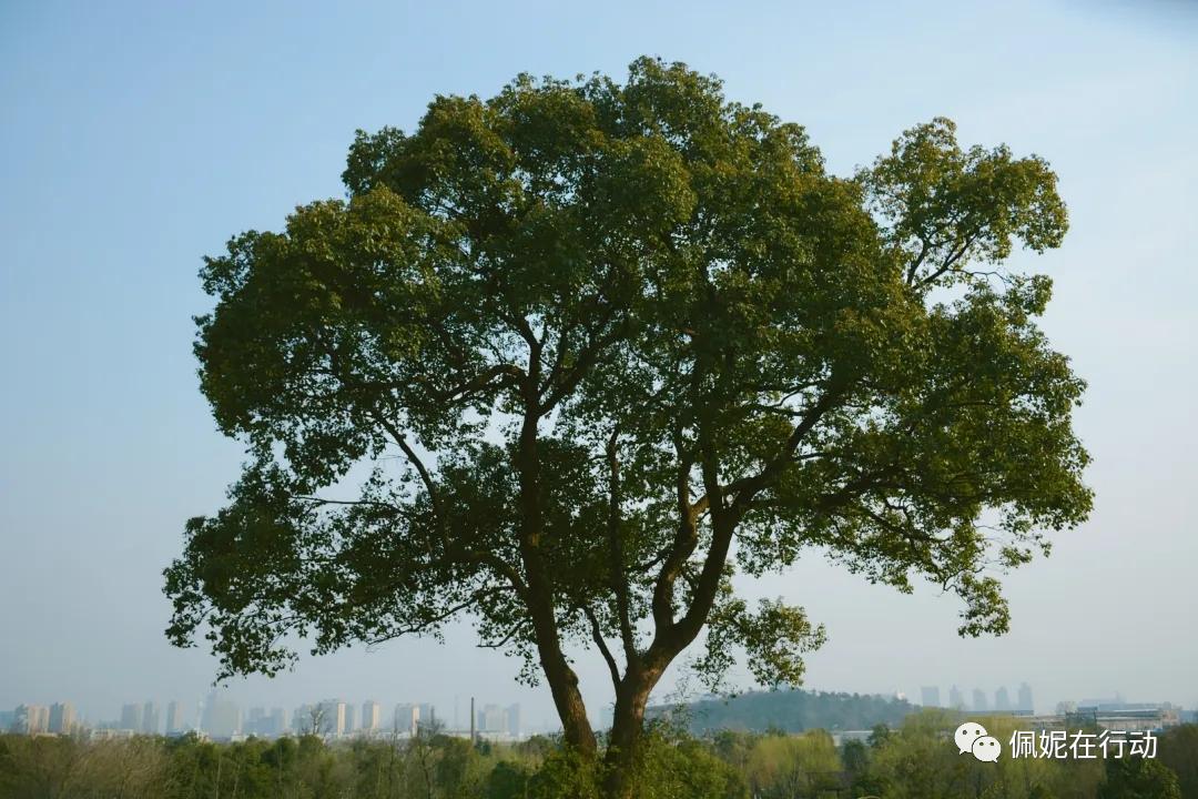 从寒门叛逆女孩到访美学者，我跟母亲的爱恨羁绊