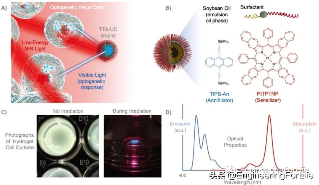 转换思维在生活中的运用,水凝胶纳米粒子