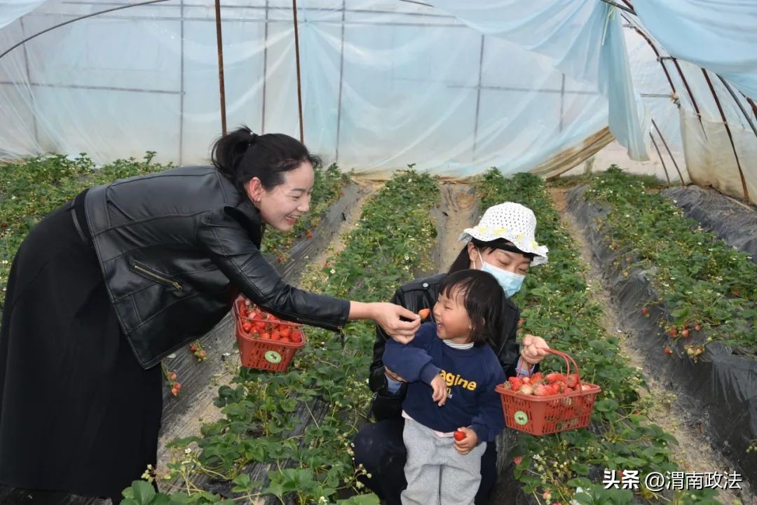 坚持政治建警打造五型警队,多措并举打造义警队