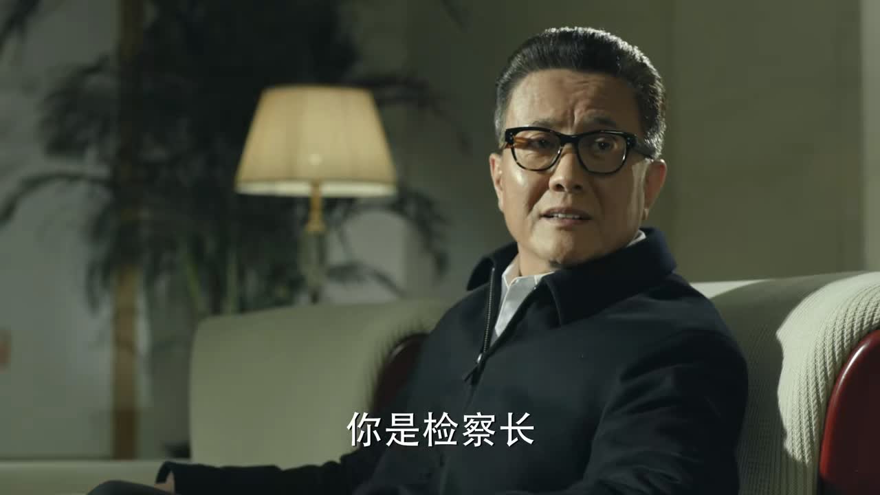 人民的名义丁义珍被抓回来了吗,陈海抓丁义珍被季昌明拦住片段