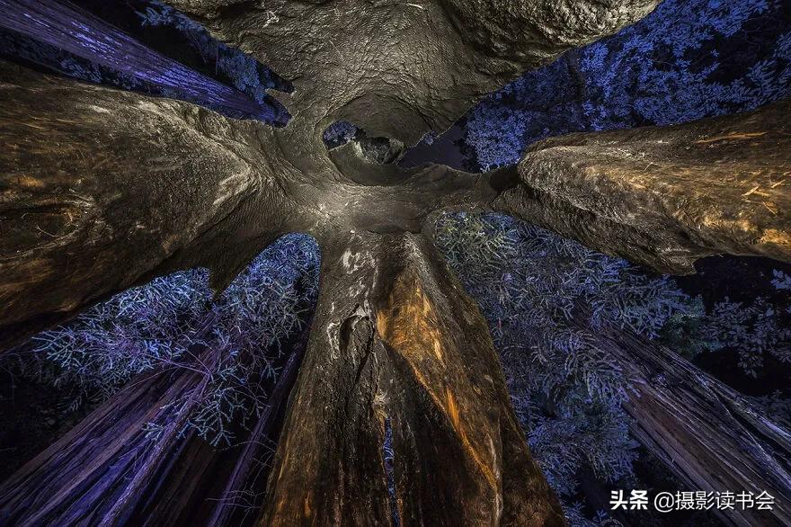 2018年度最佳摄影照片,创造出令人惊叹的自然摄影照片