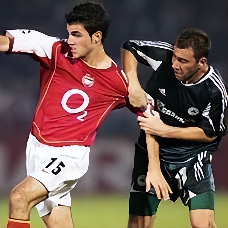 隐入尘烟飞蛾扑火,隐入尘烟与梵高