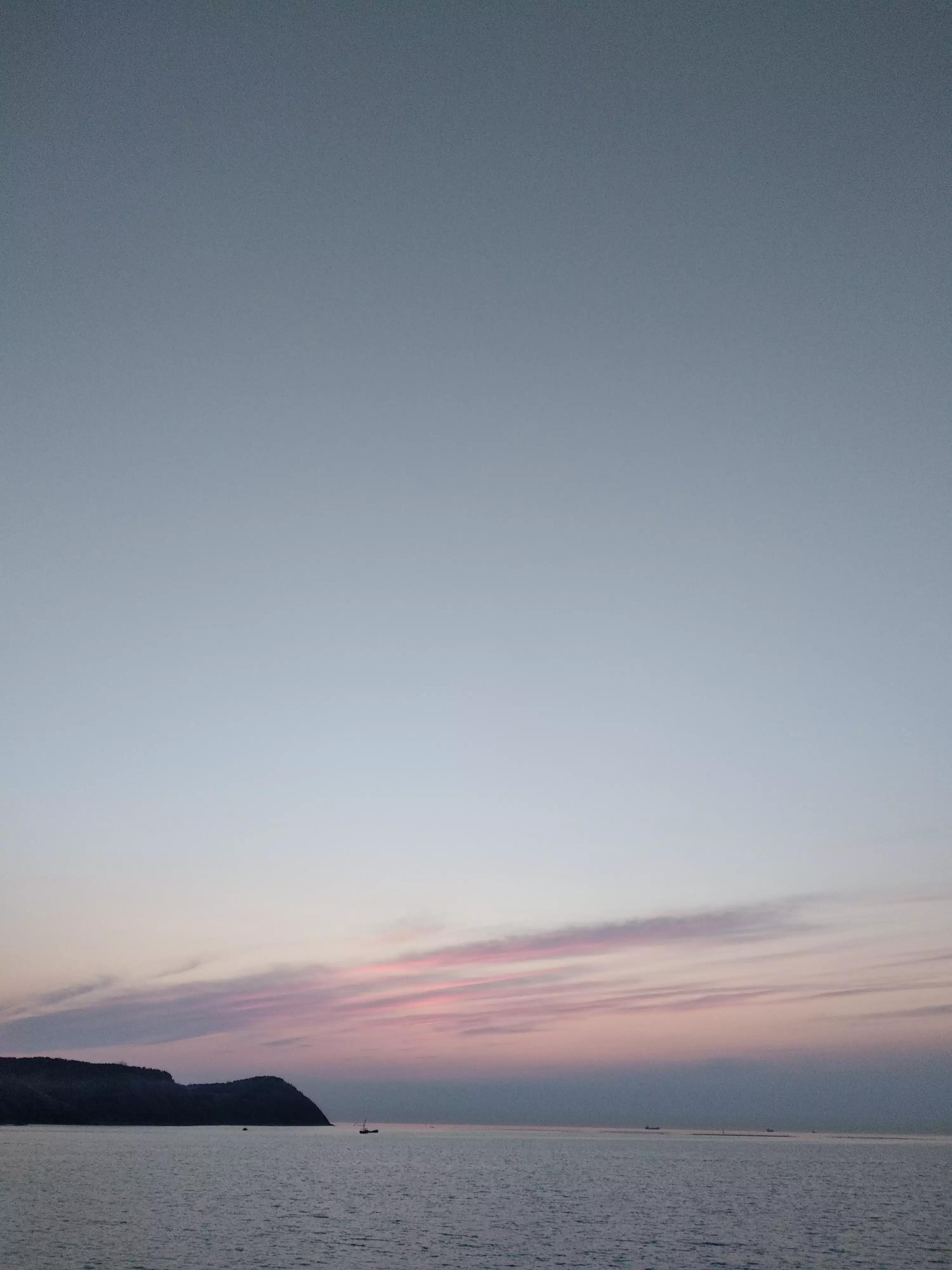 回族为什么不吃猪肉呢