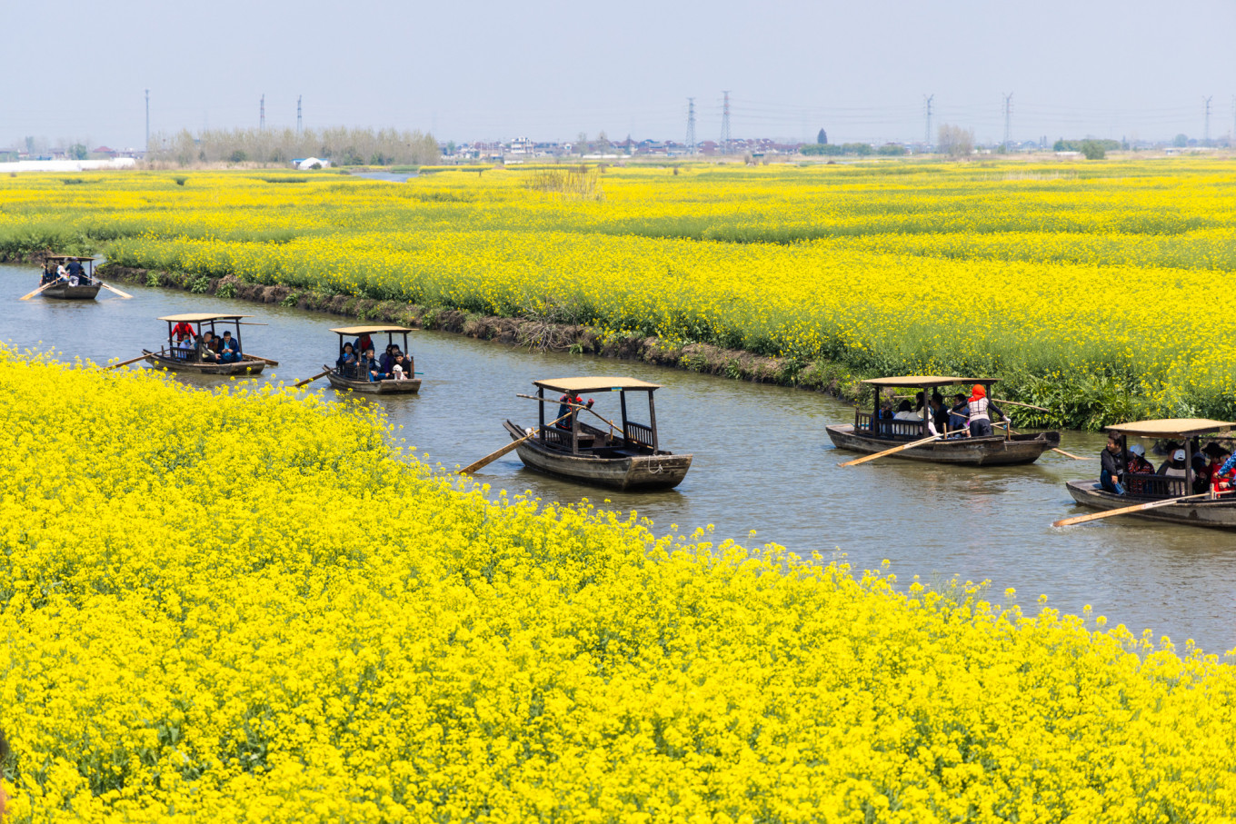 春日下江南杭州,春日下江南古镇