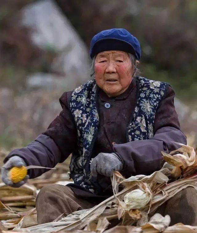 镜头里的故事电视剧,镜头里的故事完整版