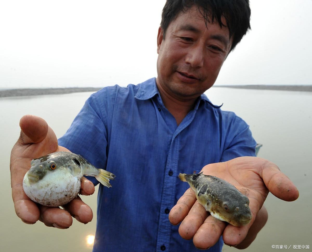 江苏镇江特产排名前十名,镇江美食蟹黄汤包介绍